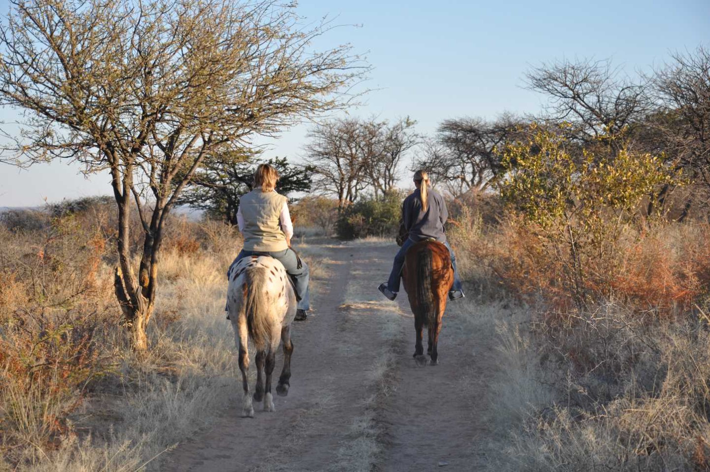 Kalahari Bush Breaks - Gobabis