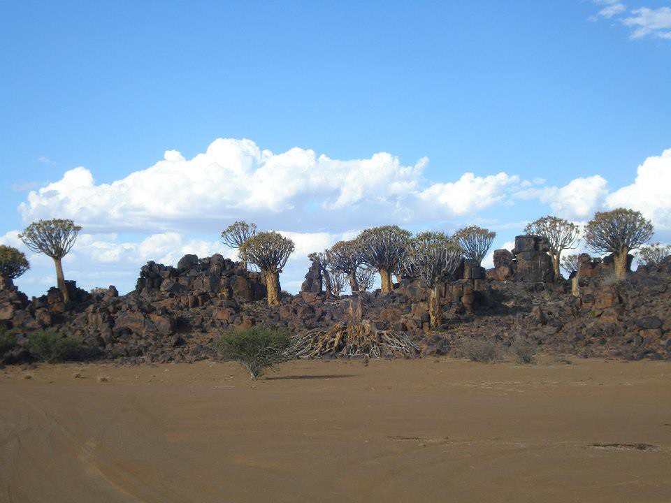 Mesosaurus Fossil Bushcamp - Keetmanshoop