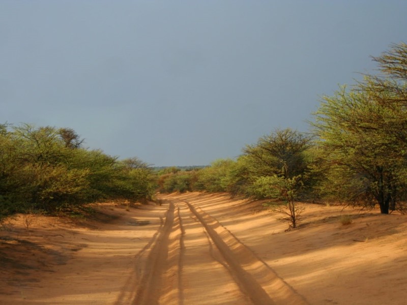 Afbeelding van Kgalagadi Mabuasehube Campsite 03