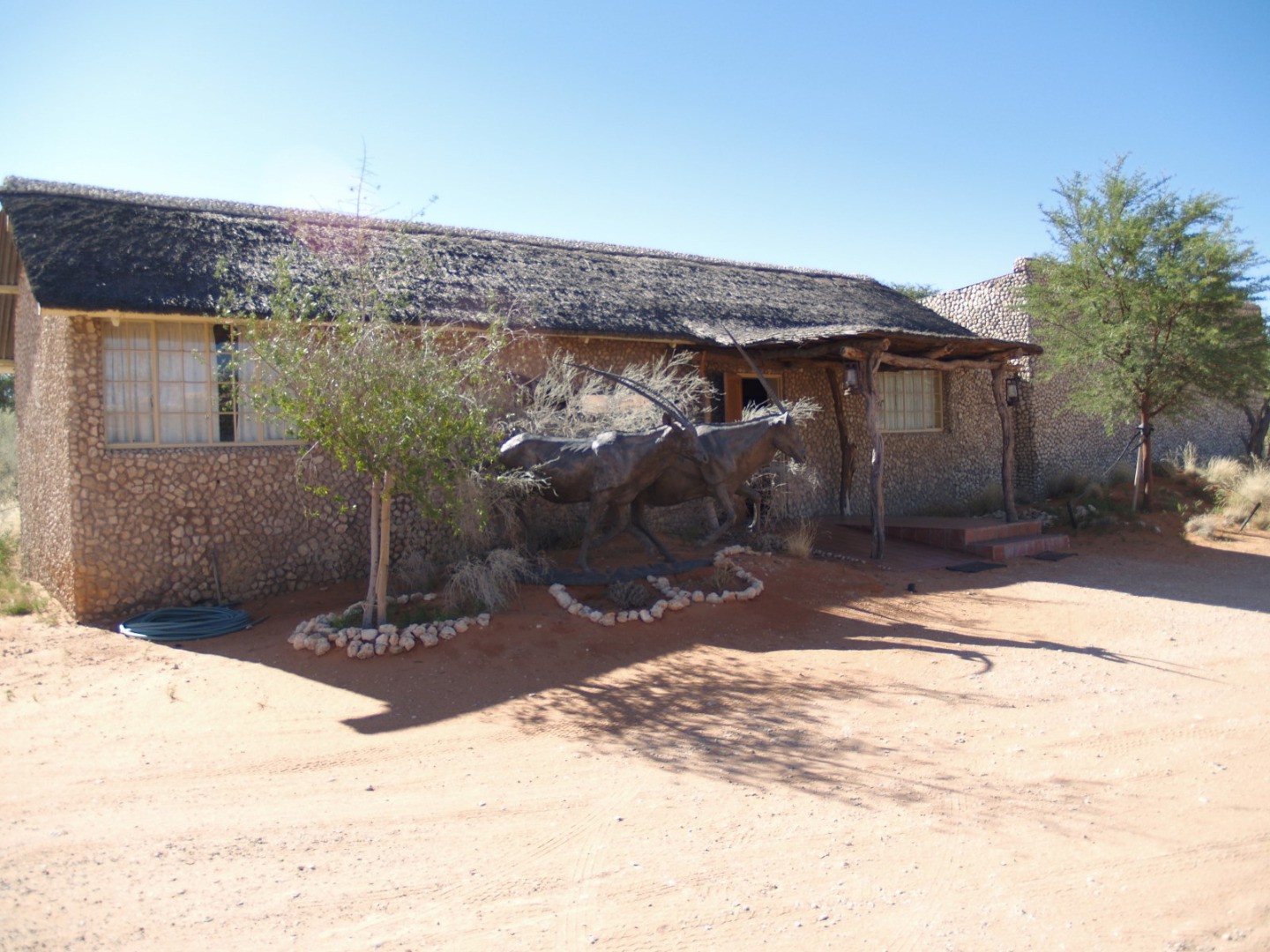 Mata Mata - Kgalagadi National Park