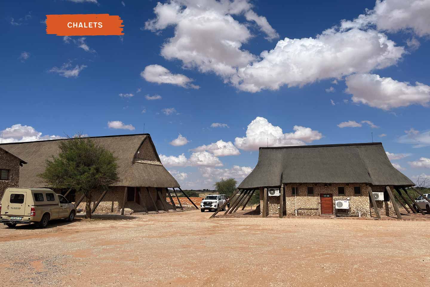 Twee Rivieren - Kgalagadi Transfrontier Park