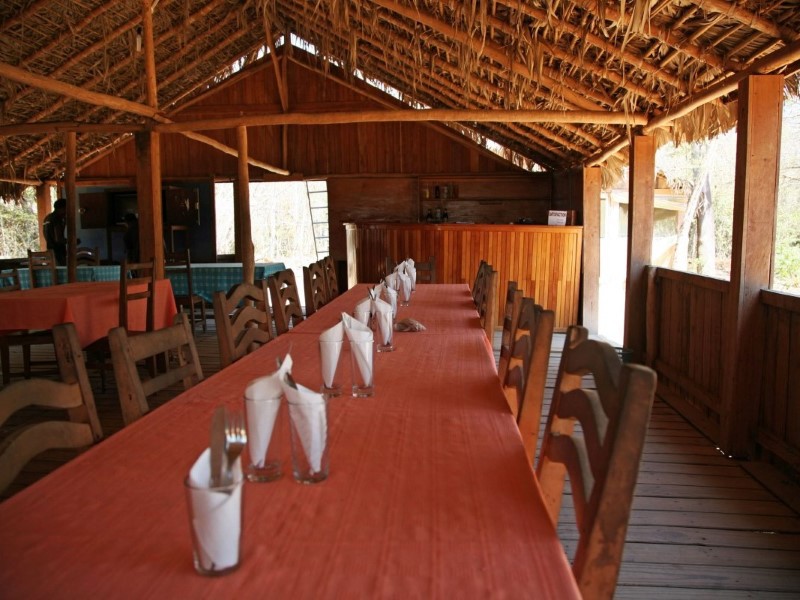 Kirindy Eco lodge - Kirindy Forest