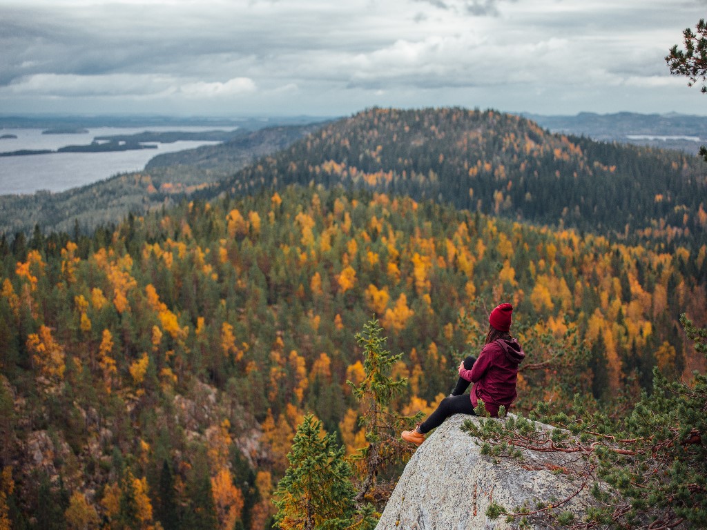 Afbeelding van Koli Natuurpark Visit Finland Julia Kivel%C3%A4