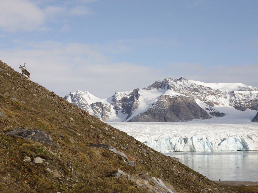 Kongsfjorden