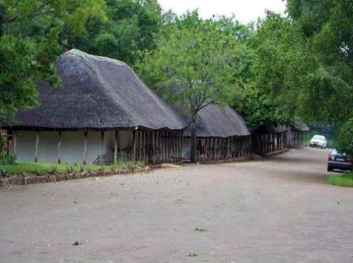 Punda Maria Kruger National Park