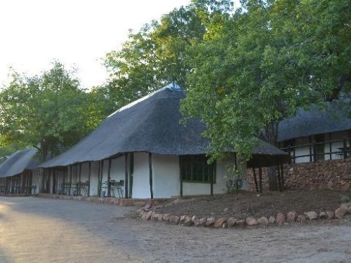 Punda Maria Kruger National Park