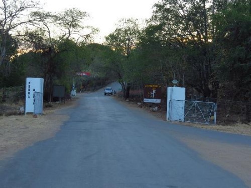 Punda Maria Kruger National Park