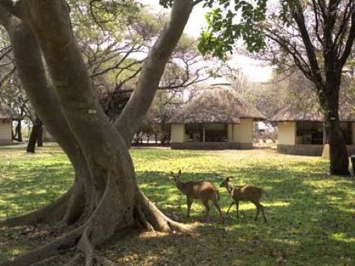 Letaba - Kruger National Park