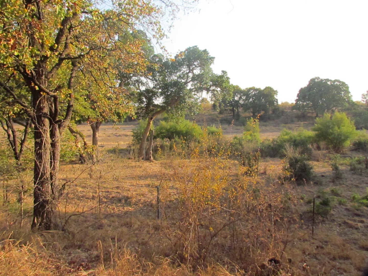 Shingwedzi Kruger National Park