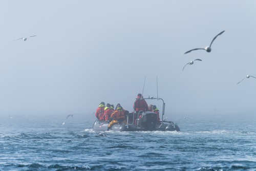 Afbeelding van Labradorzee Tenderbat Killiniq Island Canada HGR Karsten Bidstrup