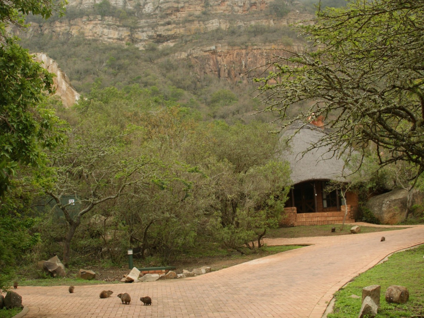 Ntshondwe Camp - Ithala Game Reserve