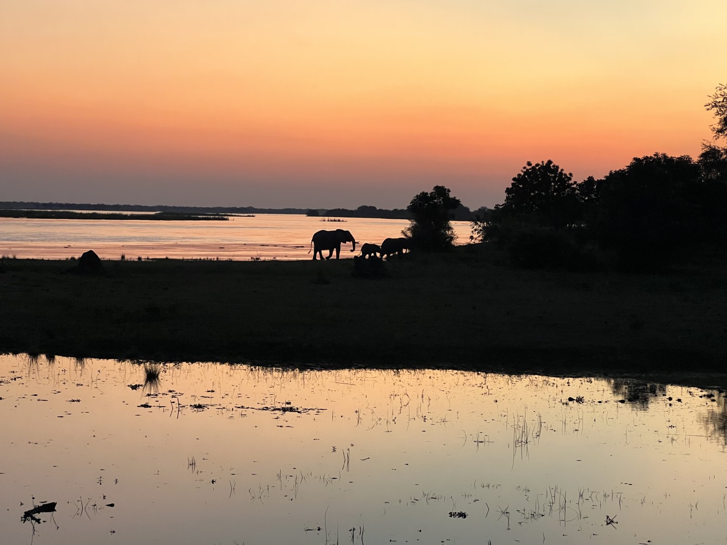 Lower Zambezi Nationaal Park