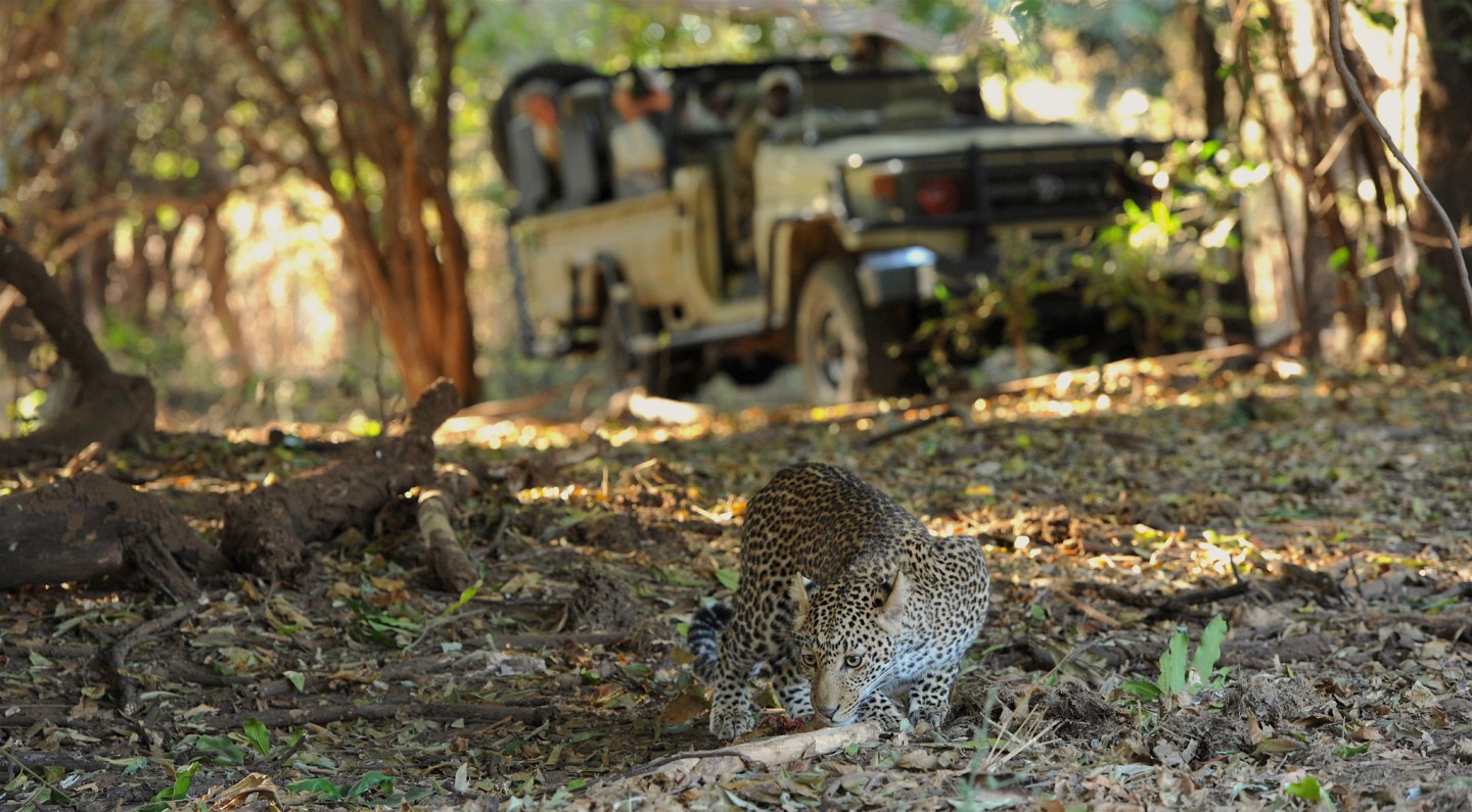 Lower Zambezi Nationaal Park