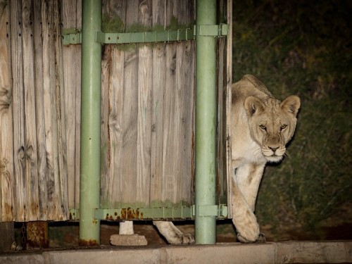 Mabuasehube Campsite - Kgalagadi Transfrontier Park