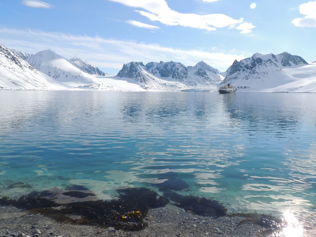 Afbeelding van Magdalenefjord Hurtigruten Jennifer Gardner Copy