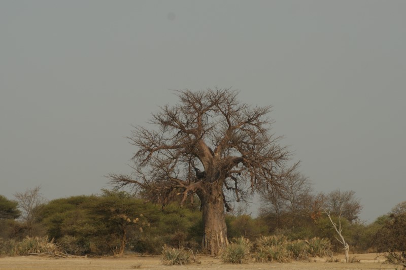 Afbeelding van Mahangu Park