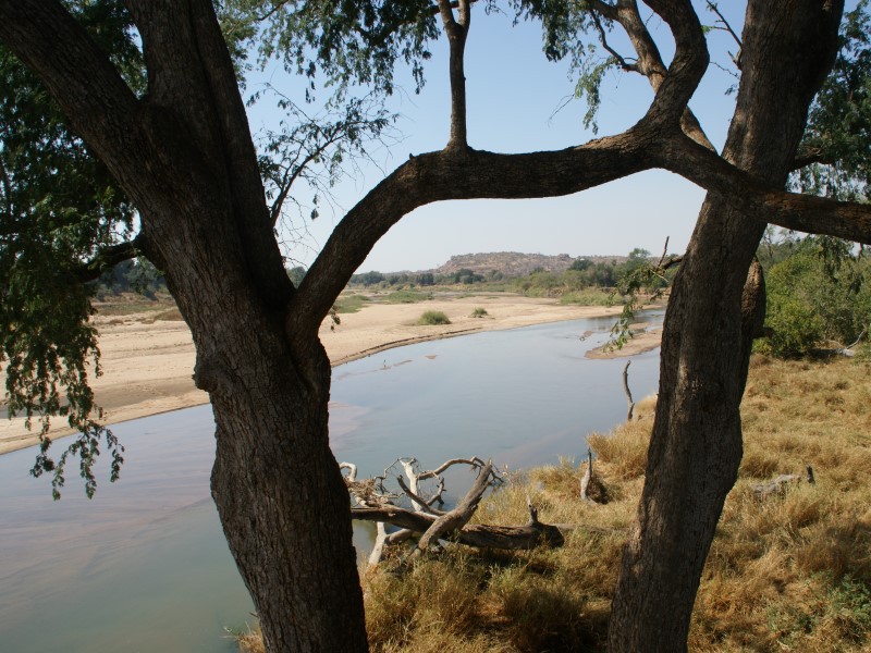 Limpopo Forest Camp Mapungubwe NP