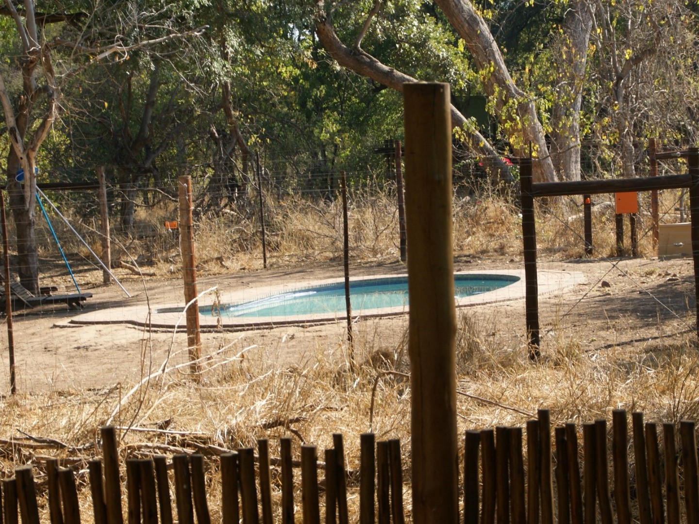 Limpopo Forest Camp Mapungubwe NP