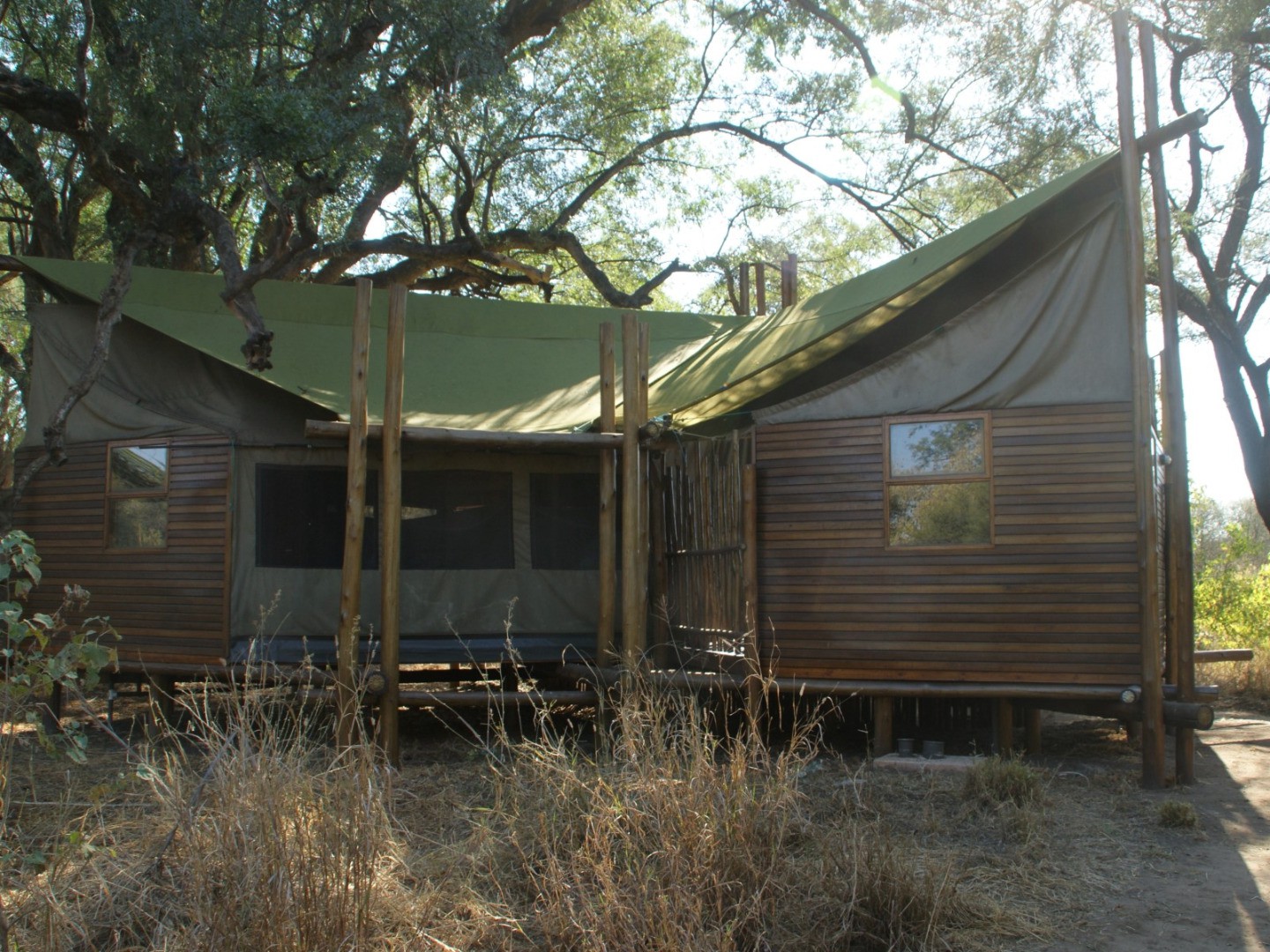 Limpopo Forest Camp Mapungubwe NP