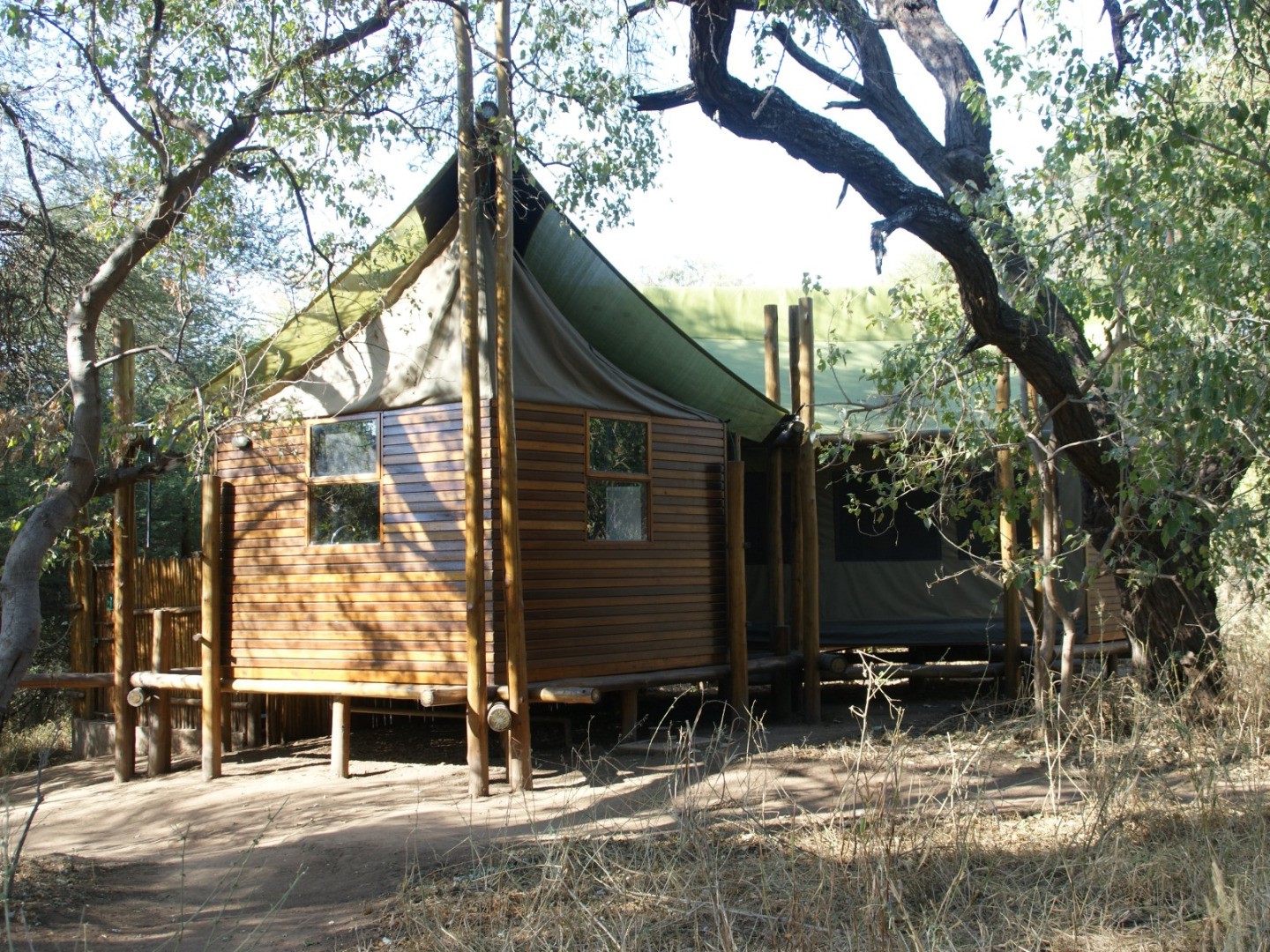 Limpopo Forest Camp Mapungubwe NP