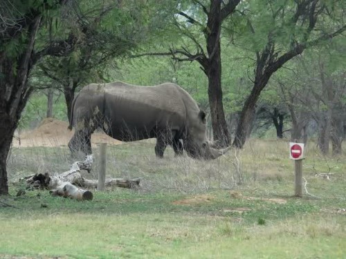 Bontle Restcamp - Marakele