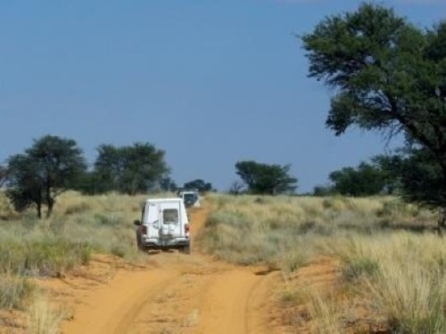 Matopi Campsite - Kgalagadi Transfrontier Park