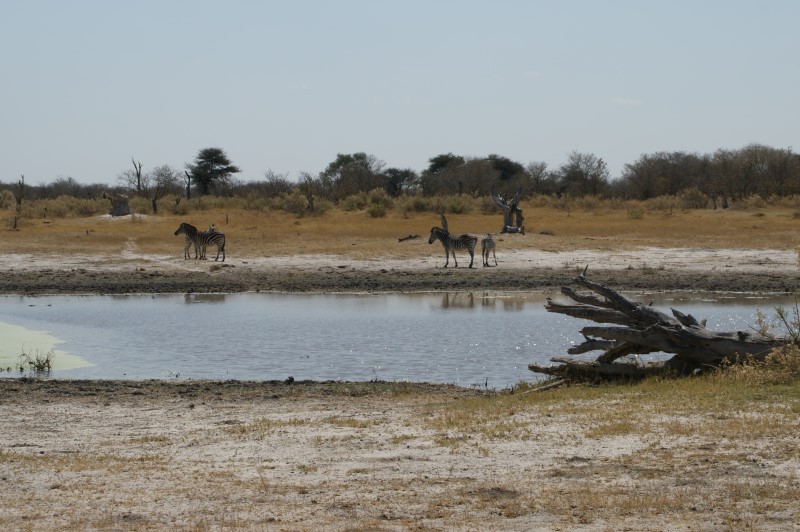 Mochaba Crossing