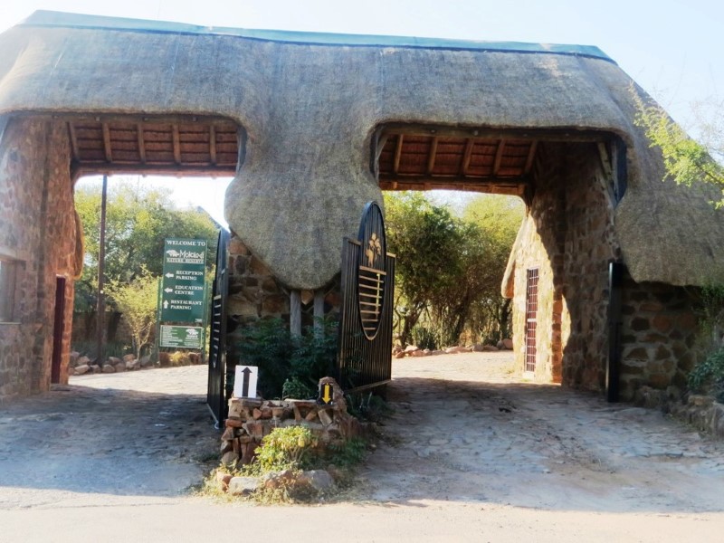 Mokolodi Nature Reserve - Gaborone