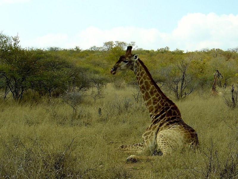 Mokolodi Nature Reserve - Gaborone