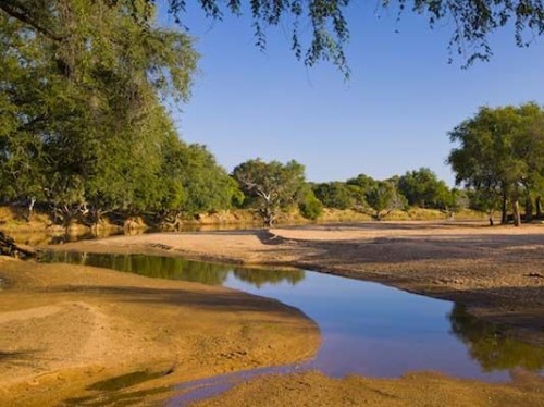 Molema Bush Camp Tuli Block