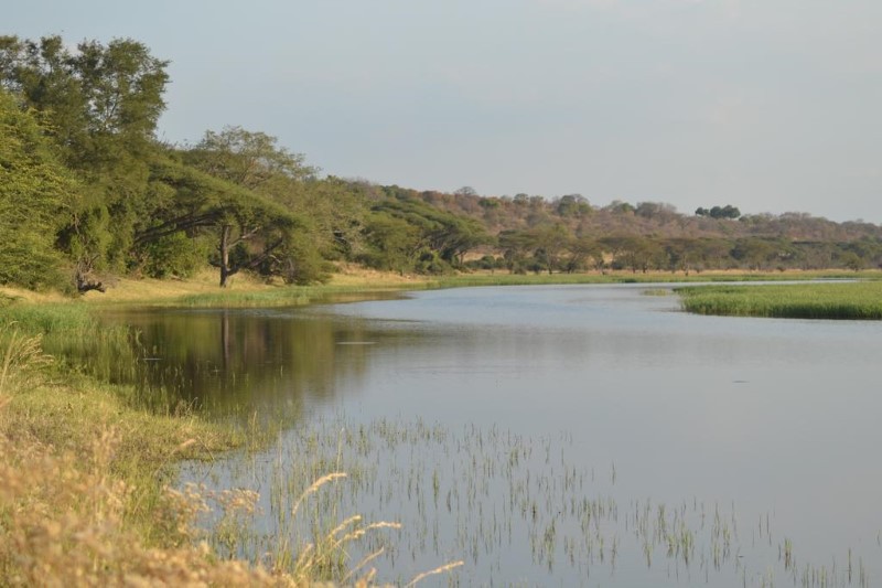 Mwandi View - Chobe