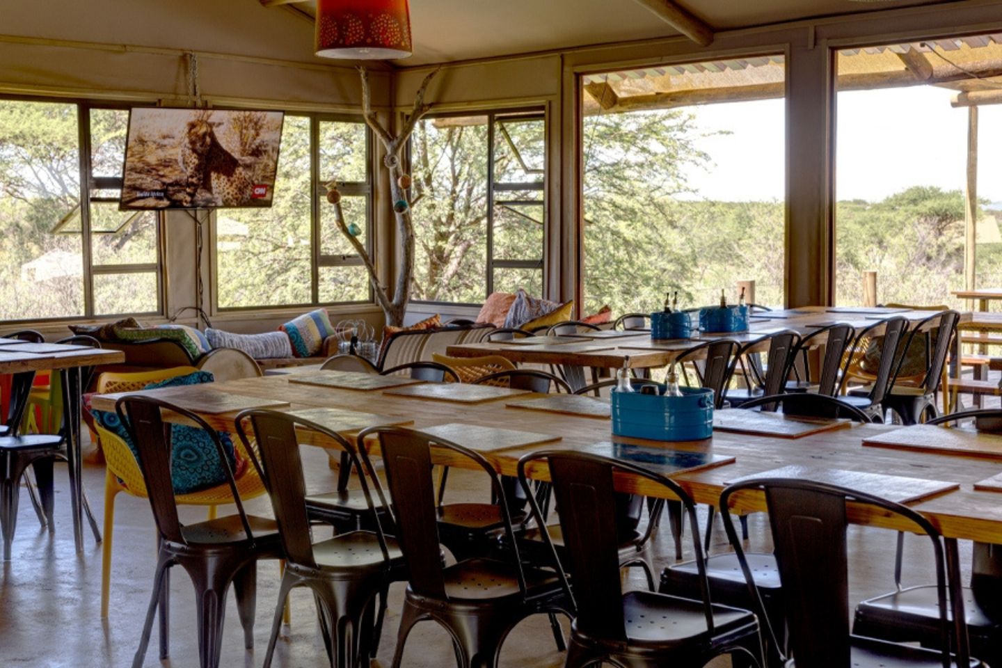 Naankuse Bush Camp - Windhoek