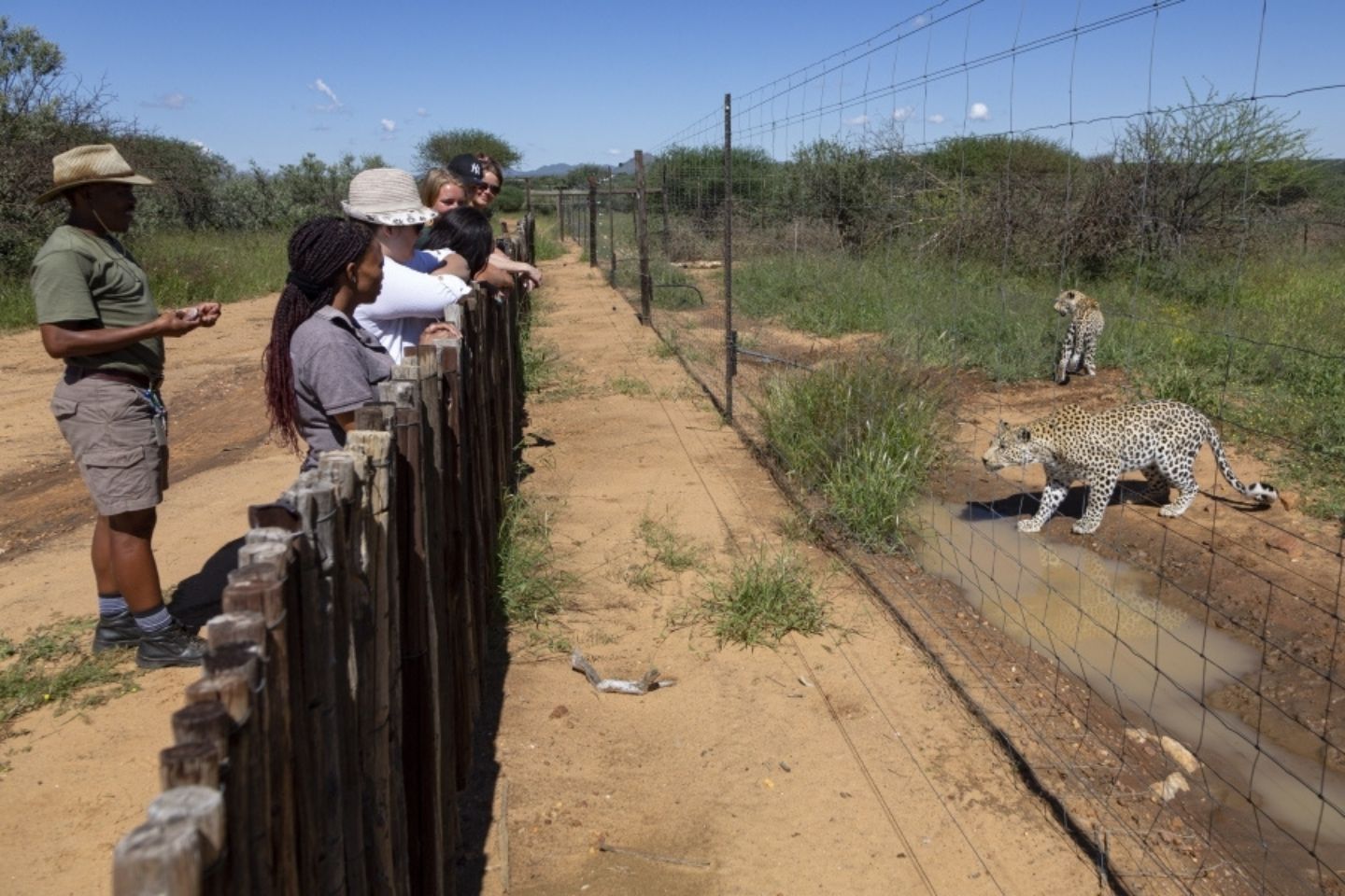 Naankuse Bush Camp - Windhoek