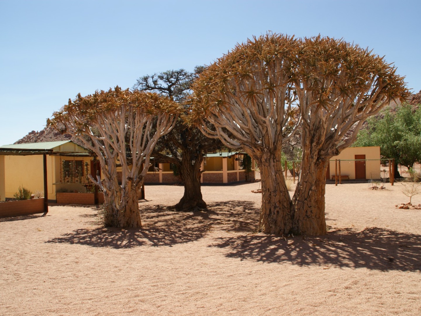 Namtib Desert Lodge