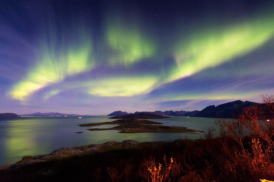 Noorderlichtsafari Uløybukt