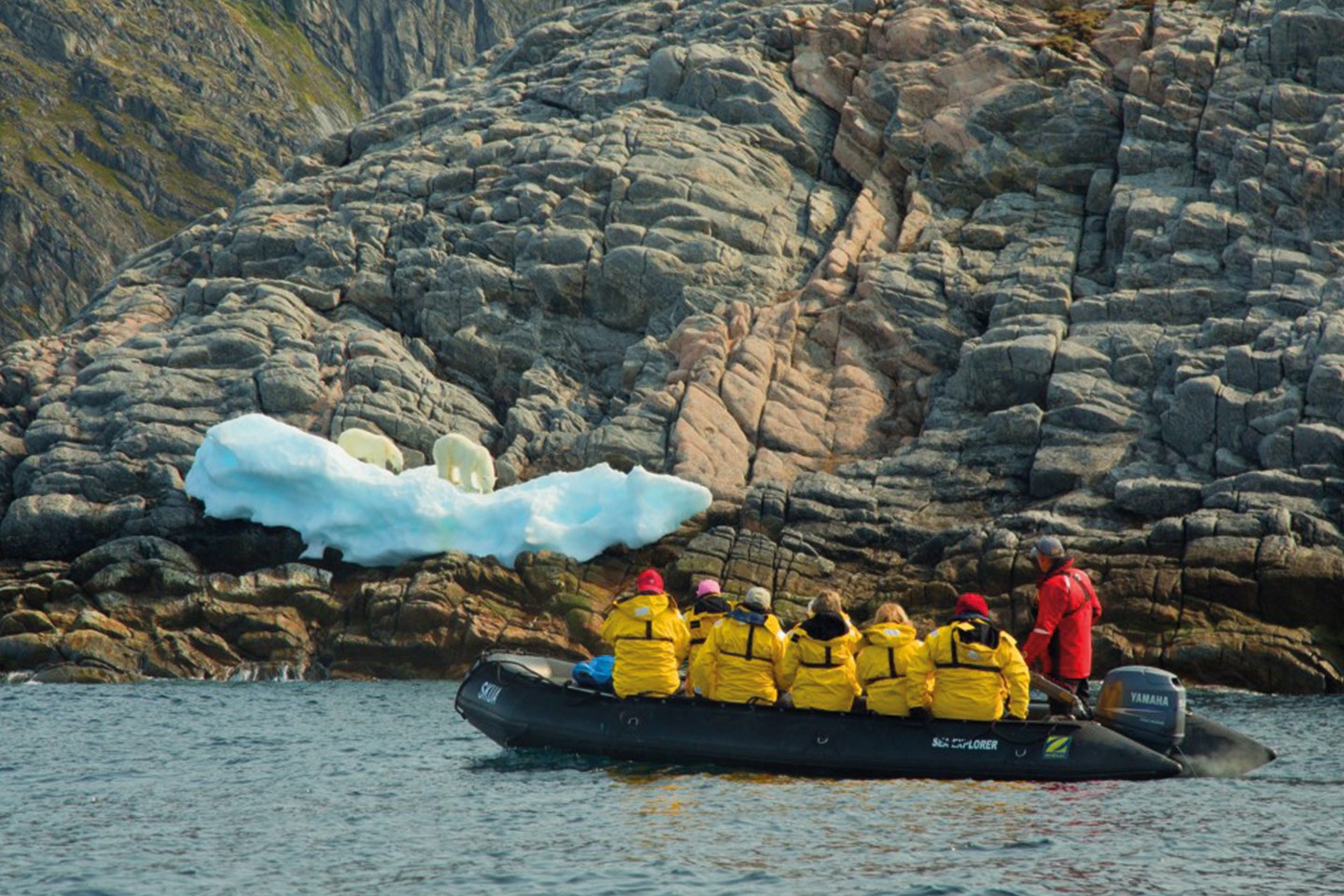 Afbeelding van Northwest Passage En West Groenland Quark Expeditions AcaciaJohnson5