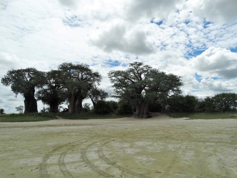 Nxai Pan Campsites