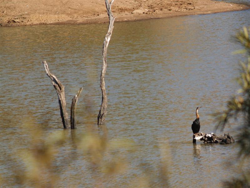 Pilanesberg Nationaal Park