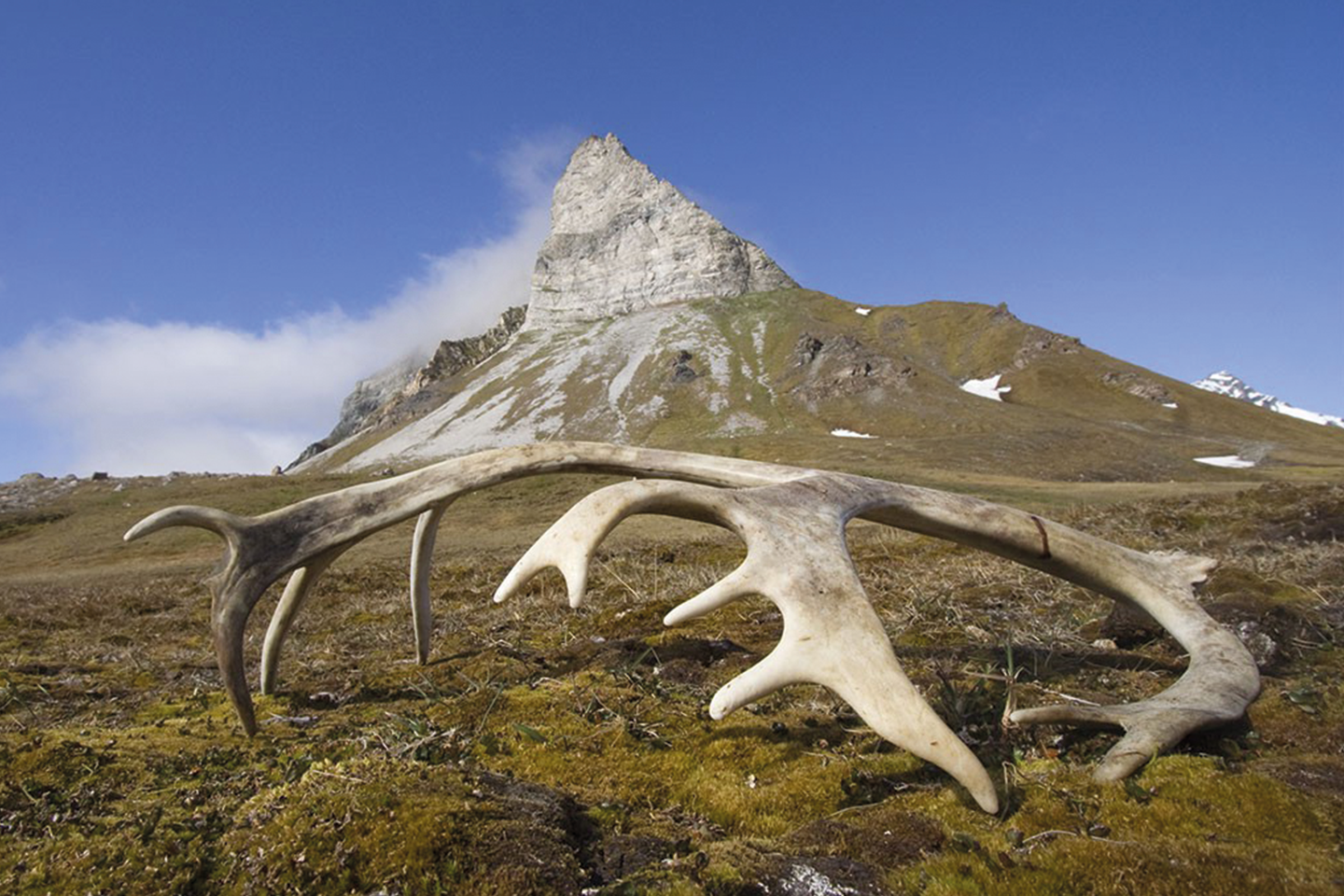 Afbeelding van Poolreis Spitsbergen Oceanwide Expeditions 9