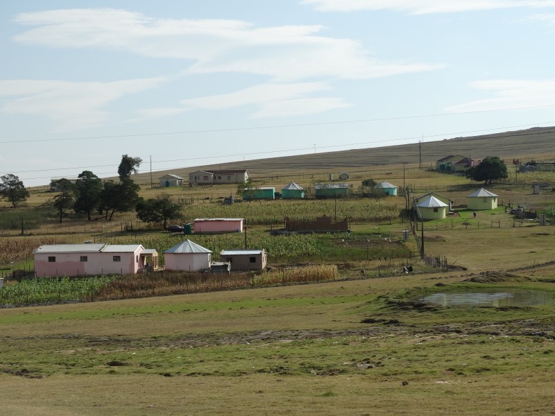 Homestay in Qunu