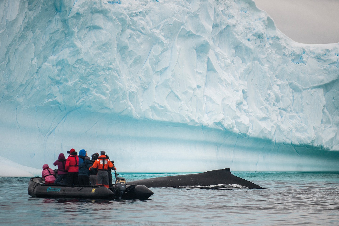 Afbeelding van Reis Naar De Zuidpool Humpback Whale%2C Zodiac Cruising%2C Antarctica %C2%A9 Morten Skovgaard Oceanwide Expeditions