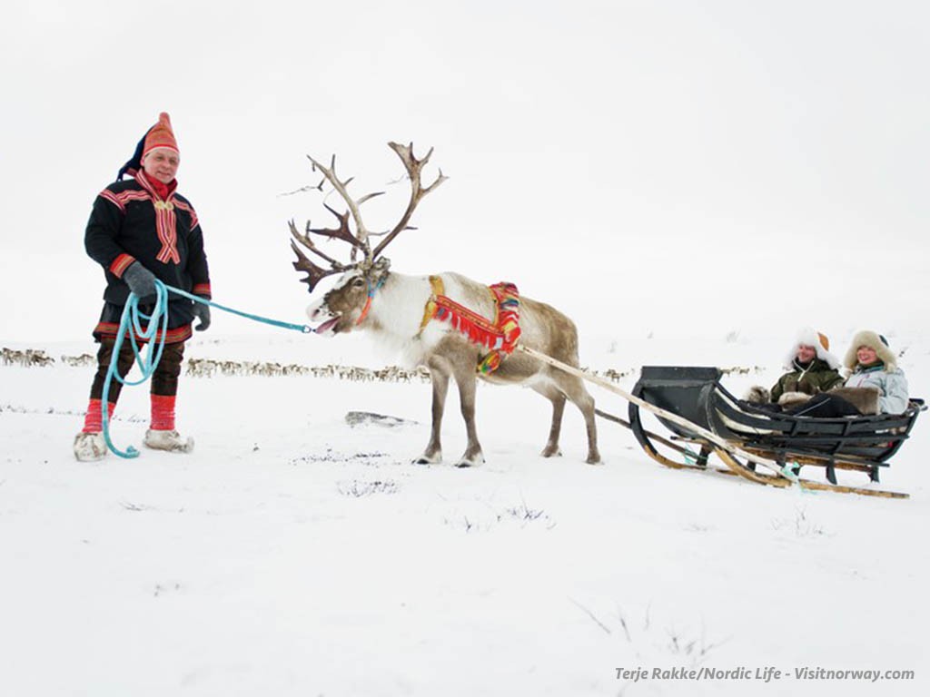 Afbeelding van Rendiersledetocht Noorwegen Terje Rakke Nordic Life Visitnorway