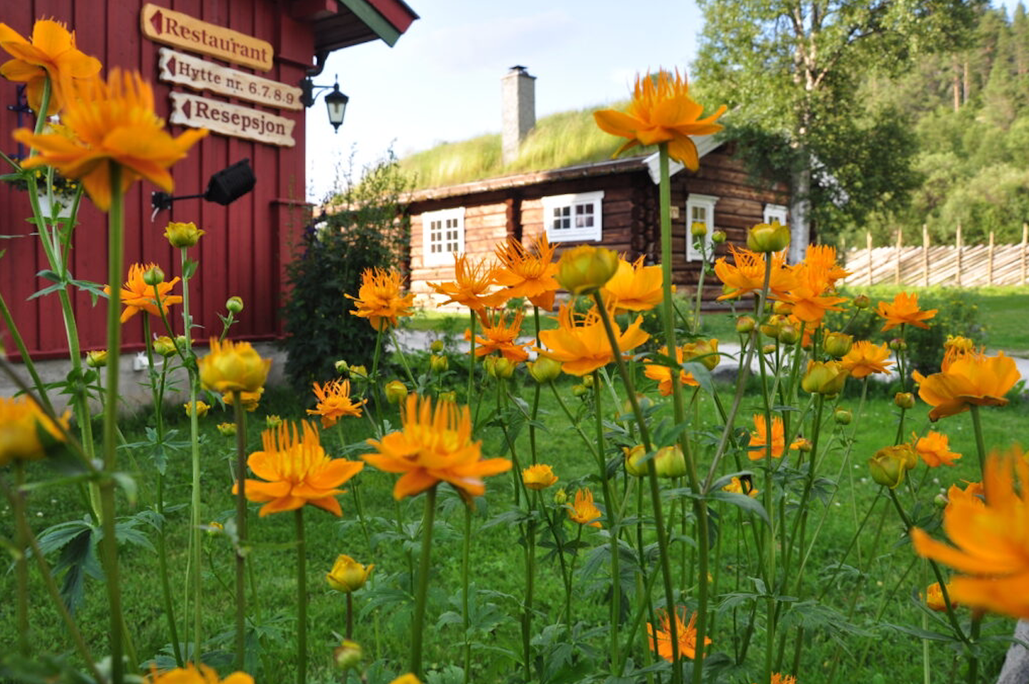 Sollia, Rondane River Lodge