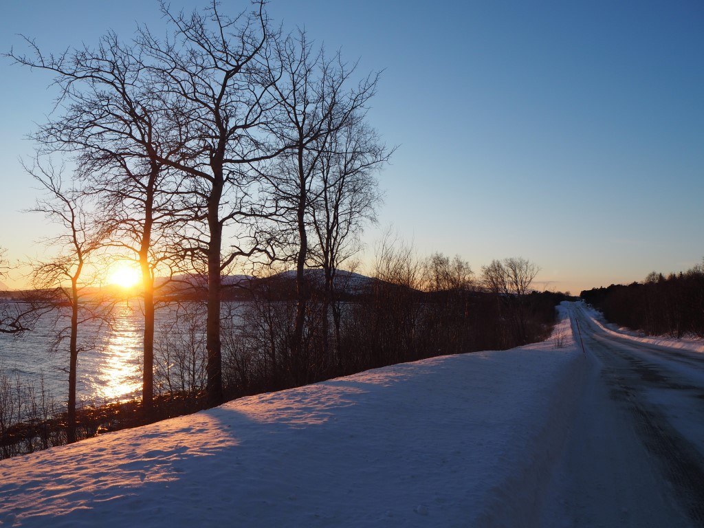 Afbeelding van Senja Opplevelser AS 