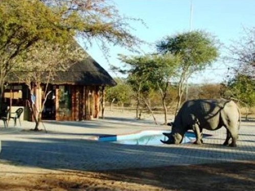 Khama Rhino Sanctuary - Serowe