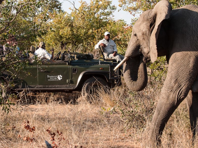 Afbeelding van Simbavati River Lodge 08