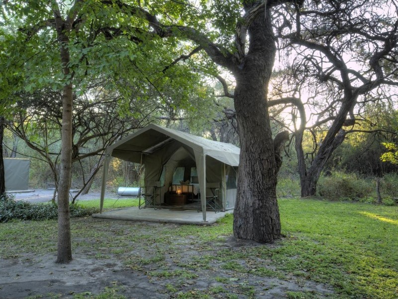 Sitatunga Camp bij Maun