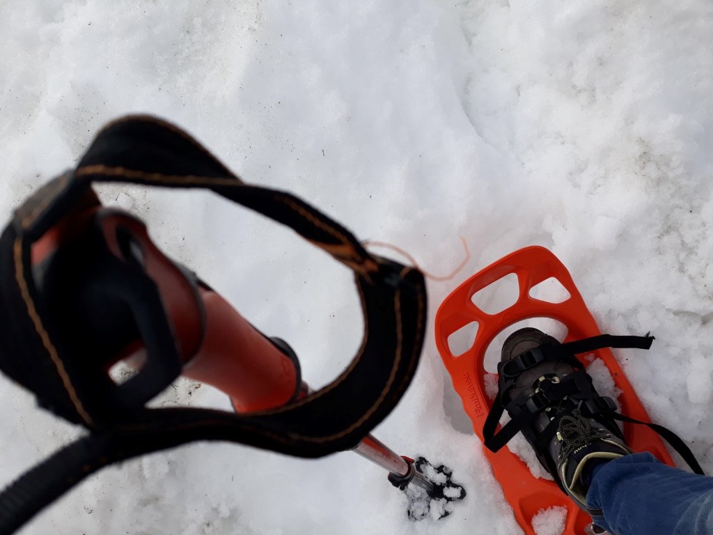 Afbeelding van Sneeuwschoenwandelen Spitsbergen