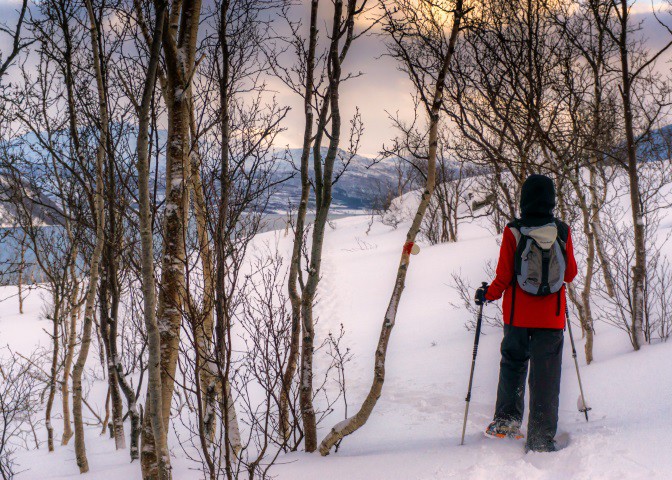 Sneeuwschoenwandelen Uløybukt