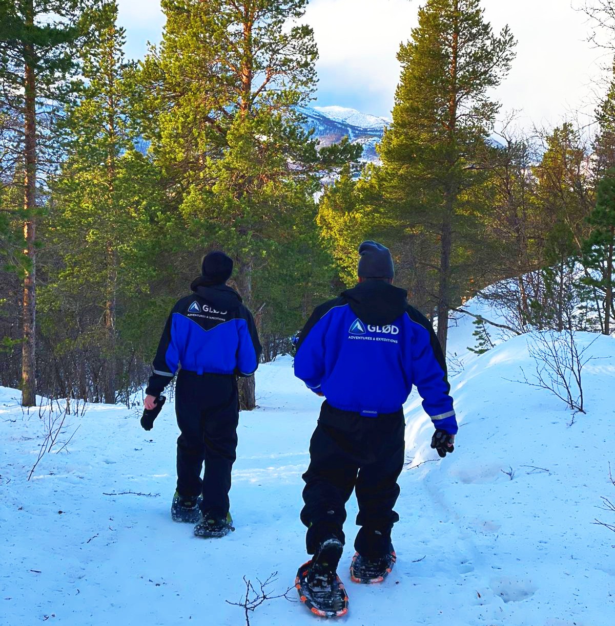 Afbeelding van Sneeuwschoenwandelen Alta